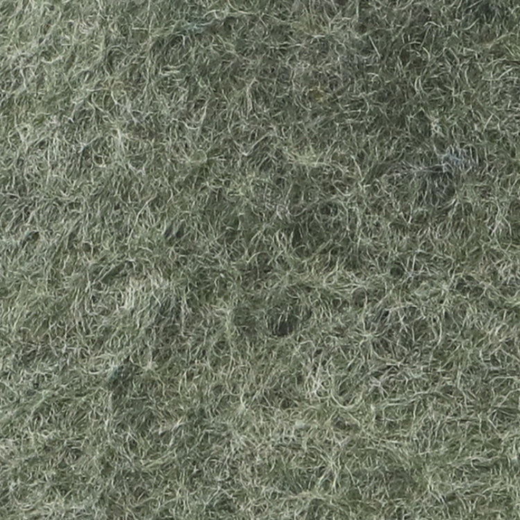 The honey rubber shoe moss